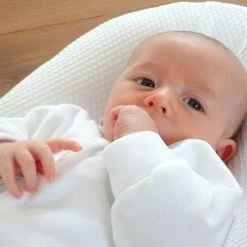 Love To Dream Shop -Love To Dream Shop cocoonababy 11 58266.1653610885